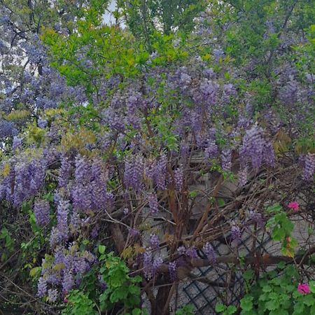Pikérmion Peaceful House Near Airportヴィラ エクステリア 写真